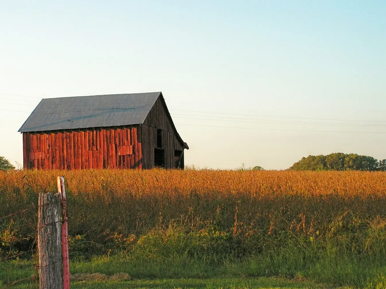 Plumber, HVAC, Generators & Septic in Tipton County, TN — Prodigy Plumbing