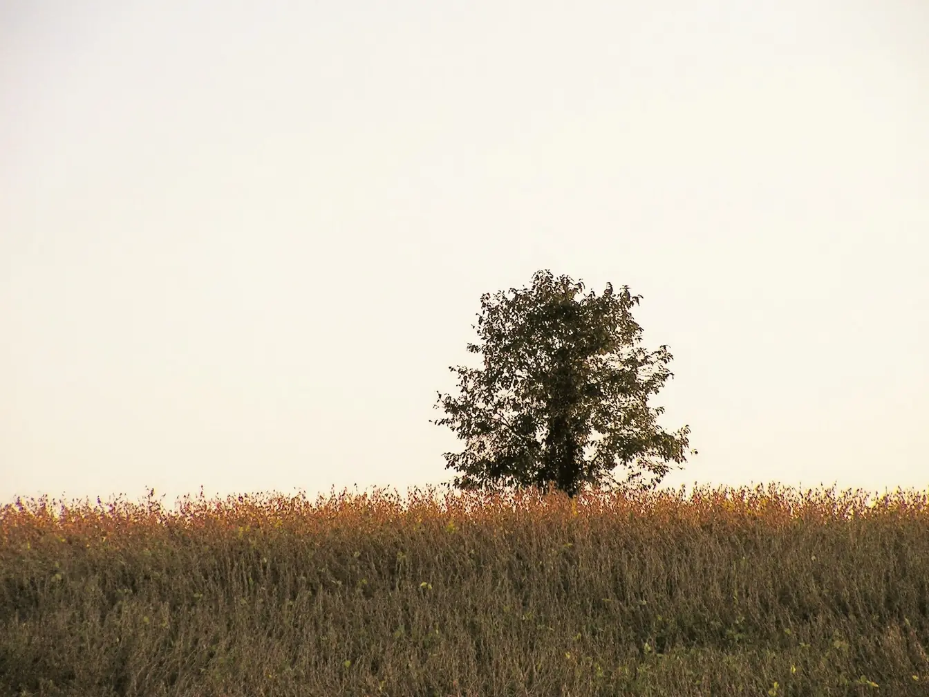 Brighton, Tennessee — a view of the town
